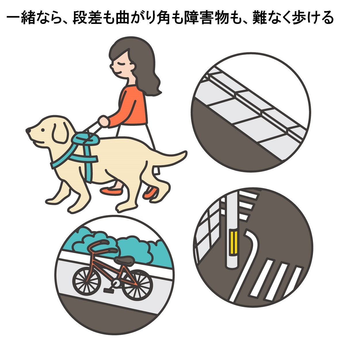 盲導犬と歩いている女性のイラスト。テキスト：一緒なら、段差も曲がり角も障害物も、難なく歩ける
